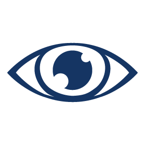 Minimalistisches FIZ-Logo-Detail mit blauem Auge als Symbol für den Bereich Mensch